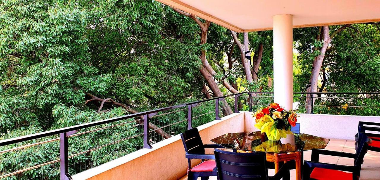 Spacious Luxury Apt, 12 Min Walk To Croisette Beach And Conf Centre Cannes Dış mekan fotoğraf